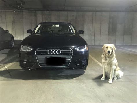 My Audi and my Lincoln : r/Audi