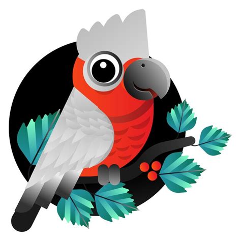 Premium Vector Colorful Parrot Vector