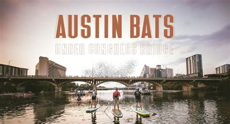 How to Go Bat-Watching in Austin, Texas - A Step-by-Step Guide | BOTE