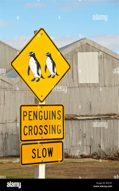 Penguins Crossing Sign Banque D Image Et Photos Alamy