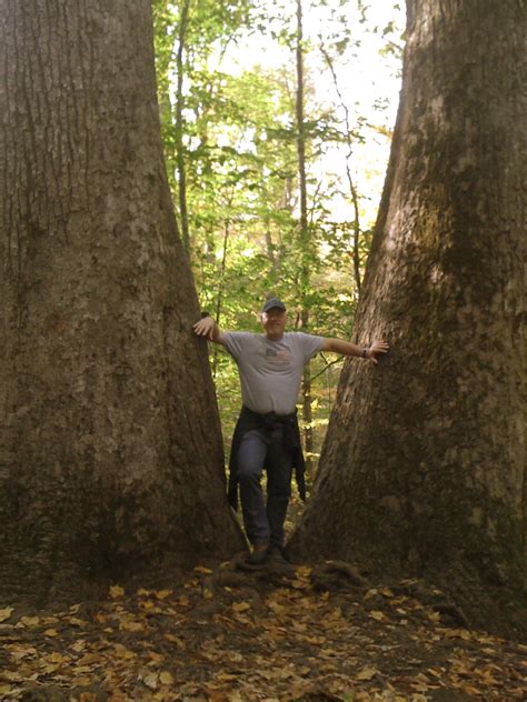 Hike The Joyce Kilmer Memorial Forest Backroad Planet