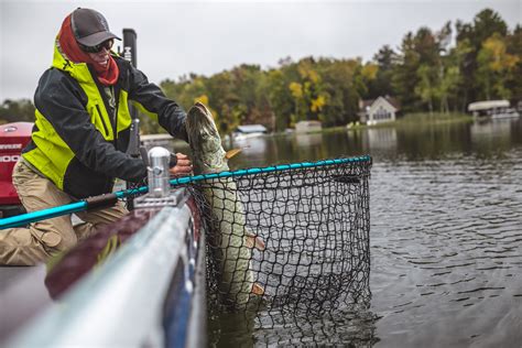 Colossus Td Replacement Net