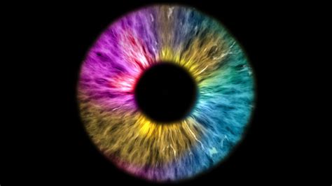 The Colored Eye Is An Extreme Close Up Of The Iris And Pupil Widening