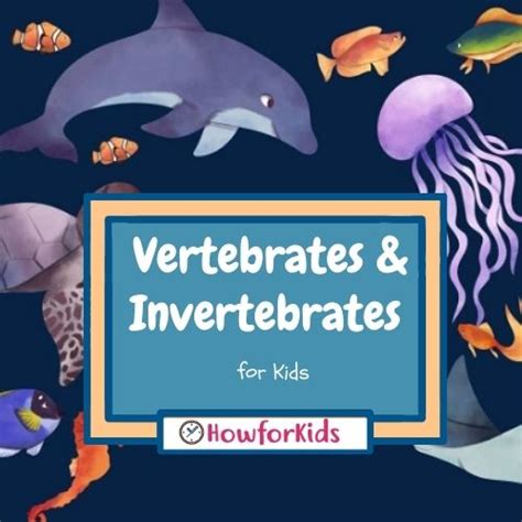 Vertebrates and Invertebrates for Kids – HowForKids