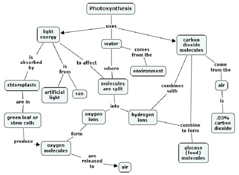 An Example Of A Sub Concept Map For Figure 3 Dealing With One Form Of Download Scientific