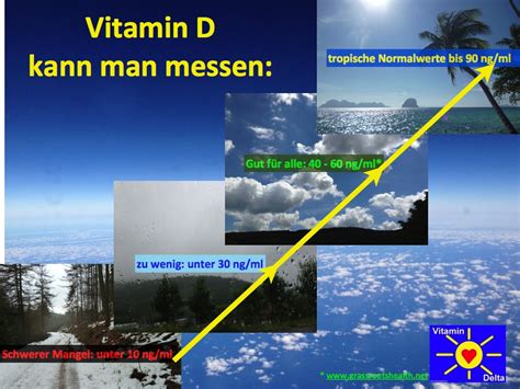 Willkommen beim unabhängigen Ratgeber zum Vitamin D