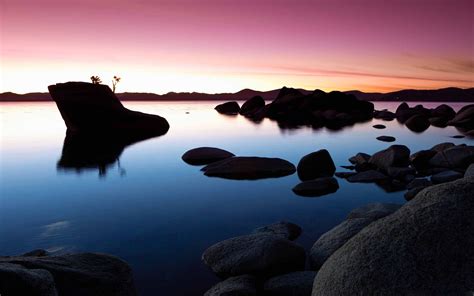 Bonsai Rock Sunset Mac Wallpaper Download | AllMacWallpaper