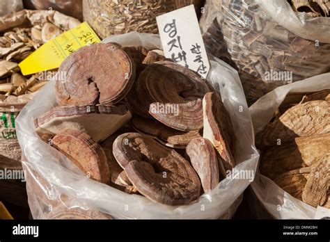 Dried Korean Lingzhi Mushrooms Ganoderma Lucidum Used In Traditional