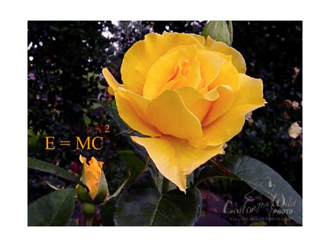 Anatomy of The Spirit - PDFCOFFEE.COM