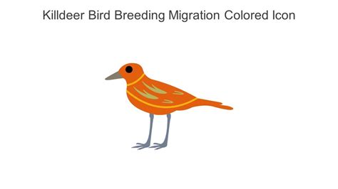 Killdeer Bird Breeding Migration Colored Icon In Powerpoint Pptx Png ...