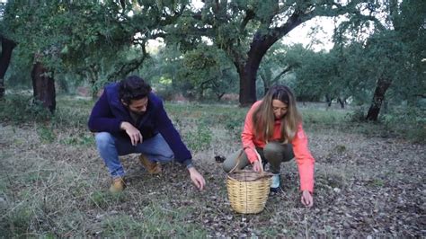 Tierra de sabores Especial 2 Canal Sur CanalSur Más