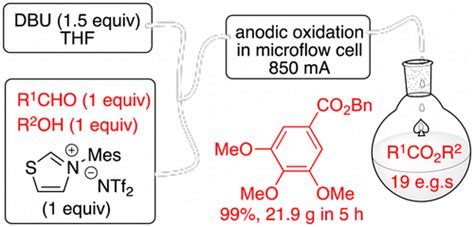 N Heterocyclic Carbene Mediated Oxidative Electrosynthesis Of Esters In