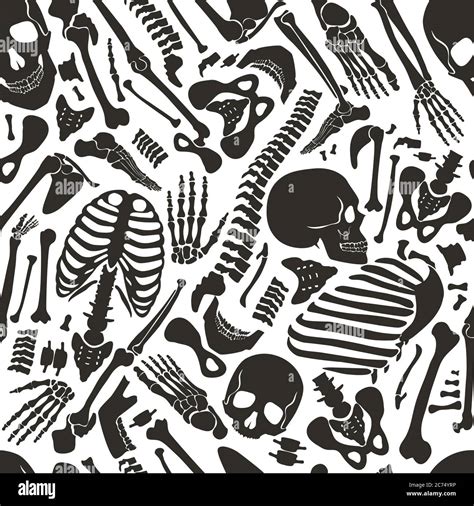 Vector Human Skeleton Seamless Pattern With Skulls And Other Various Single Human Parts Bones