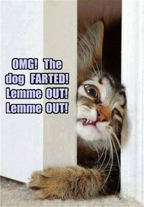 53 Best One Liner Jokes Images On Pinterest One Liner Jokes Funny