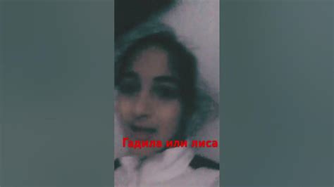 Гадила или лиса - YouTube