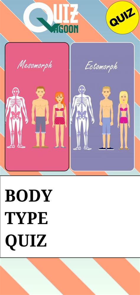 This Body type quiz will help you determine your constitution based on ...