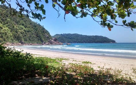 Praia Brava Do Camburi Ubatuba PraiasNoBrasil