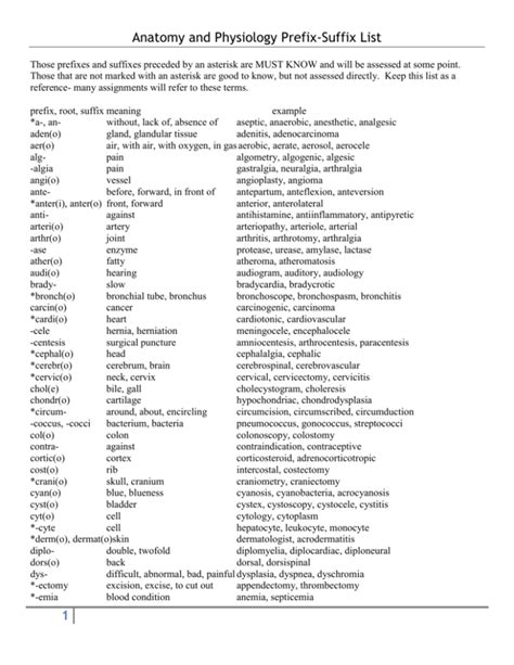 Anatomy And Physiology Prefix