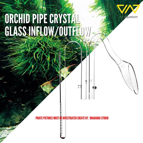 Viv Crystal Glass Orchid Pipe Outflow S M L Lazada