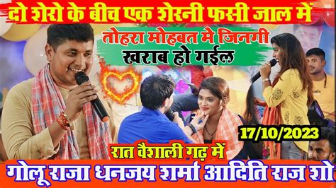 Video कल रात वैशाली गढ़ मे दो शेरो के बीच एक शेरनी फसी जाल में