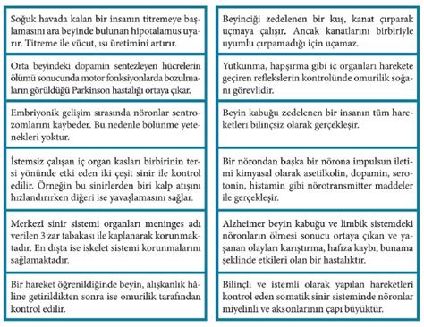 11 Sınıf Biyoloji Beceri Temelli Etkinlik Kitabı Cevapları Sayfa 11