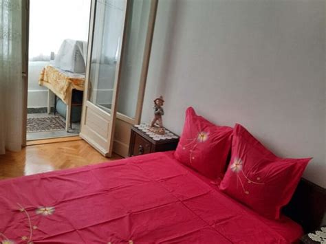 Apartament Camere Central Park Parcul Circului Stefan Cel Mare Barbu