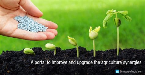 What Are Fertilizers Types Uses And Advantages Of Fertilizers