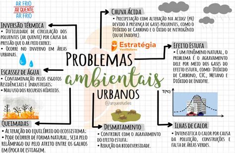 Mapa Mental Poluição Ambiental ROAREDU