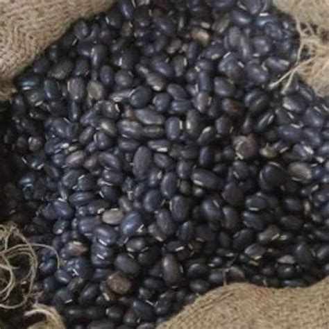 Mucuna Bracteata Seeds For Germination Packaging Type Packet At Best