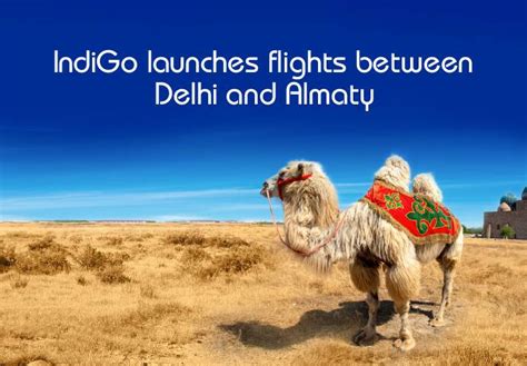 Domestic Flights Domestic Flight Booking Online In India IndiGo