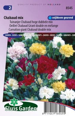 Oeillet Chabaud G Ant Double En M Lange Graines De Fleurs Annuelles