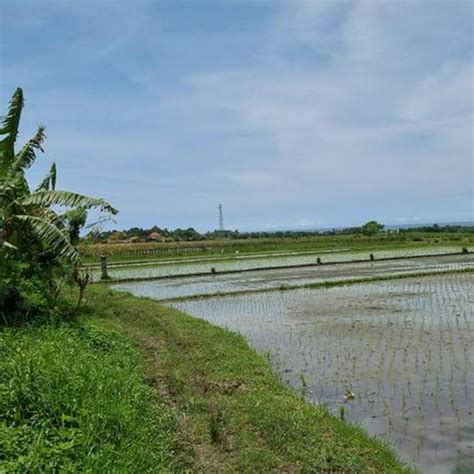 Tanah Murah Unblock View Laut Sawah Gunung Itr Pariwisata Di Jln Pantai