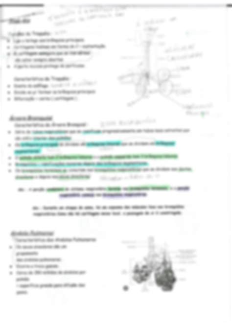 Solution Resumo Sistema Respirat Rio Studypool