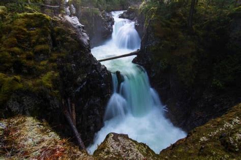 Tofino Ultimate Camping Tour | West Trek By DCT