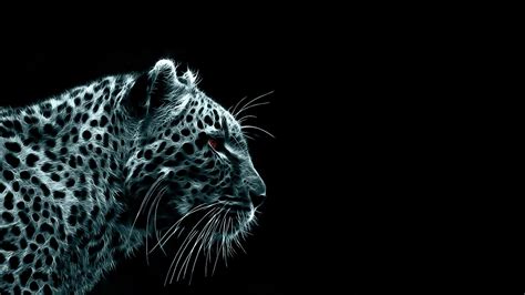 Animals Panthers Big Cats Nature Black Panther Hd Wallpaper Rare