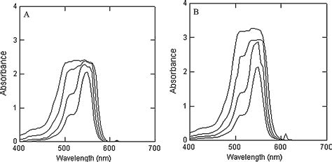 On The Staining Of Human Tissue Cultured Chang Conjunctival Cells