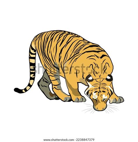 Vector Harimau Malaya Malayan Tiger Bowing Stock Vector (Royalty Free ...