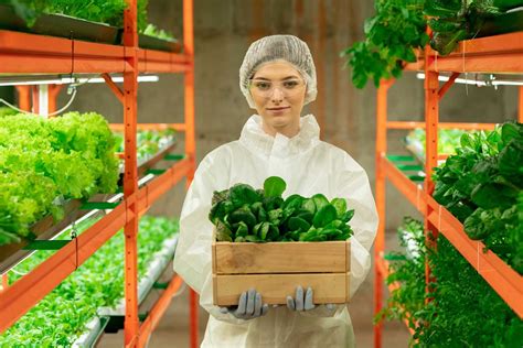 Ingenier A En Alimentos Lo Que Debes Saber Uag Media Hub