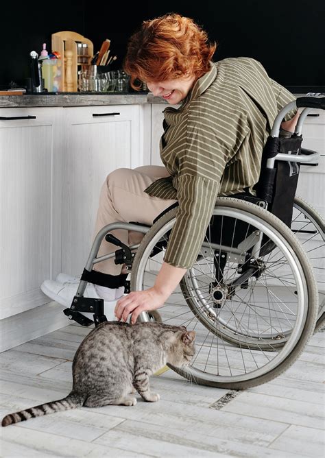 Litter Box Wheelchair Accessible Inclusivity Redefined By LoftyLoo