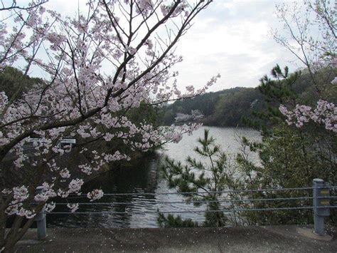 Bukan Tokyo Atau Kyoto 10 Tempat Wisata Terbaik Di Jepang Yang Cocok