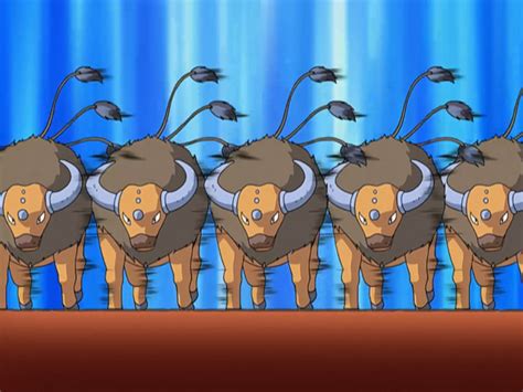 File Ash Tauros Double Team Png Bulbagarden Archives