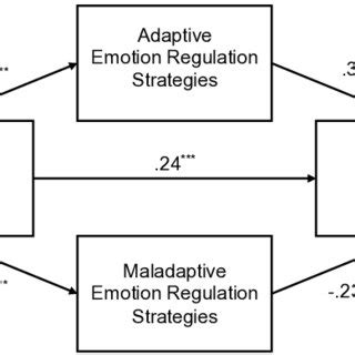 Model of cognitive emotion regulation strategies as mediators of the ...