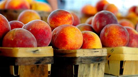 Whats In Season Peaches Canadian Food Focus