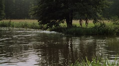 Sieben Sommersprossen