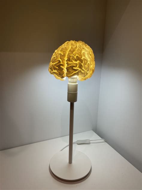 Human brain LED RGB desk lamp by Sébastien | Download free STL model ...