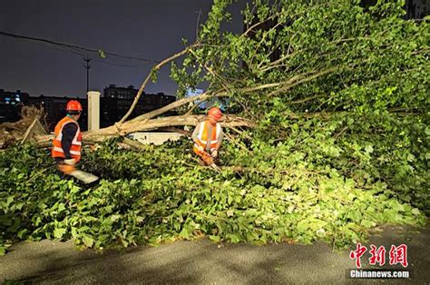 江苏南通现极端灾害天气 最大风力14级 新浪图片