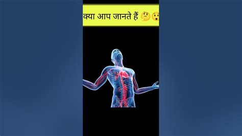 मानव शरीर मस्तिष्क क्या आप जानते है 🤔😲 Youtube