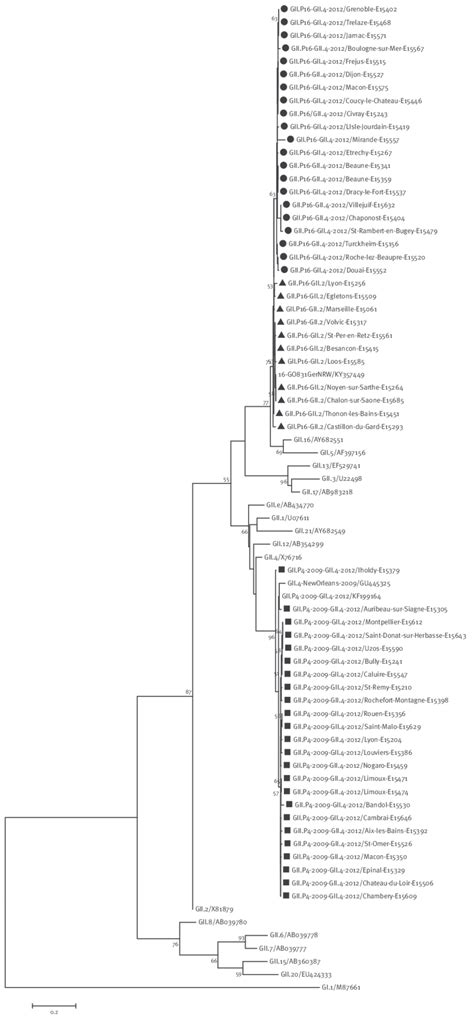 Phylogenetic Tree Based On The Partial Nucleotide Sequences 287 Bp Of