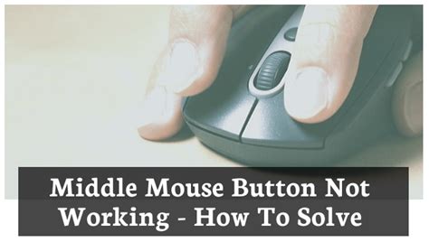 Middle Mouse Button Not Working? Quick Fixes Inside