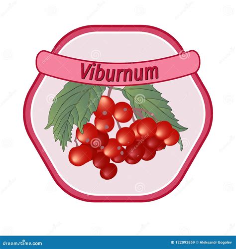 Vector Viburnum Banner Royalty Free Stock Photography CartoonDealer